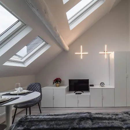 Executive- Studio-loft Center Apartment